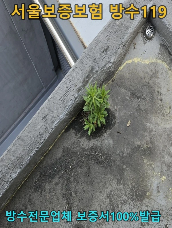 20260717172245_ff8e9949.webp
