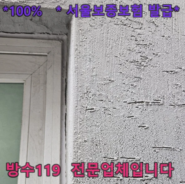 20260804100203_93459717.webp