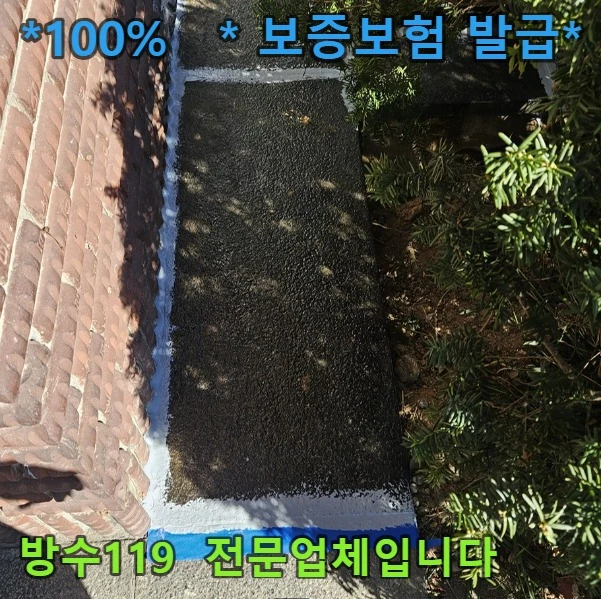 20260805173406_bd2fbe96.webp