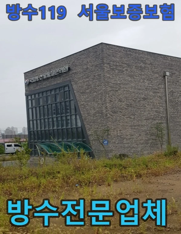 20260806091018_02e99218.webp