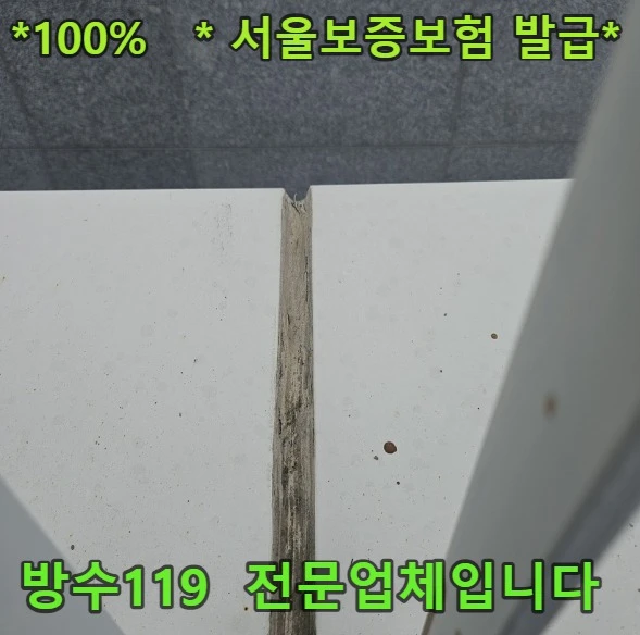 20260806092420_100fcc6e.webp