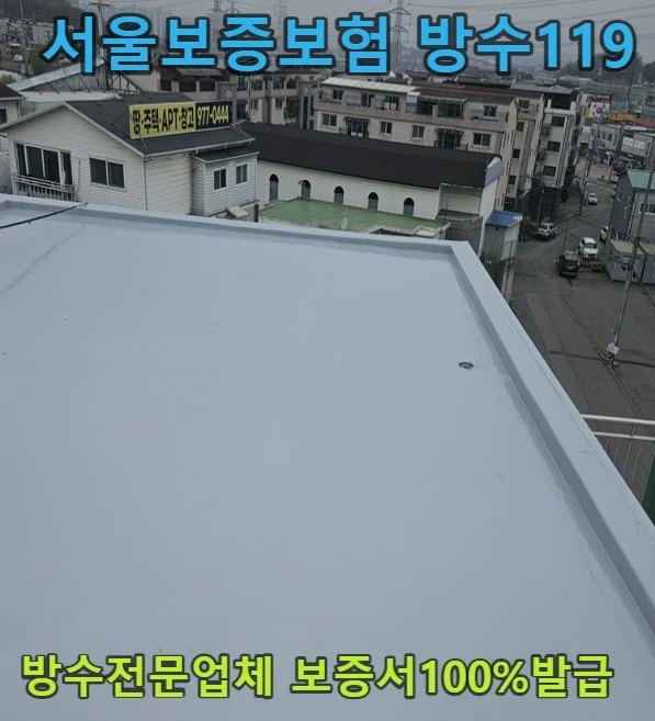 20260807115643_ac4e2063.webp