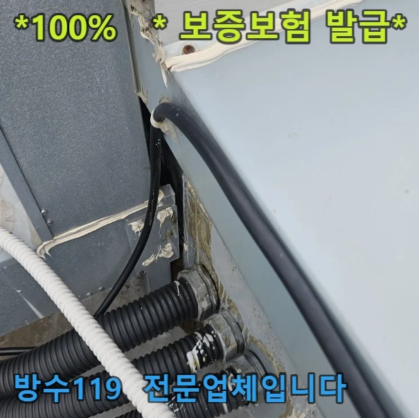 20260807121830_47336fa4.webp