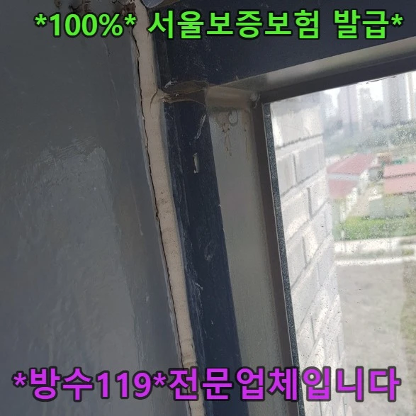 20260808124556_4bb9f741.webp