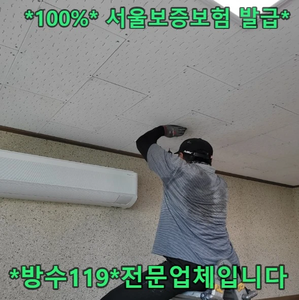 20260808125316_12f4c7d6.webp