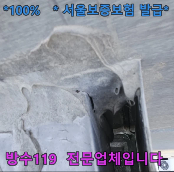 20260808125316_da9d8e24.webp