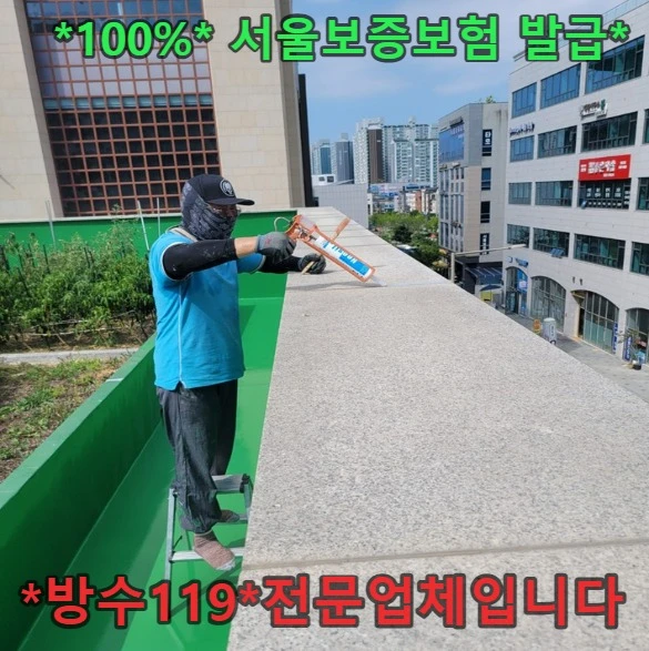 20260808131243_b410bb7e.webp