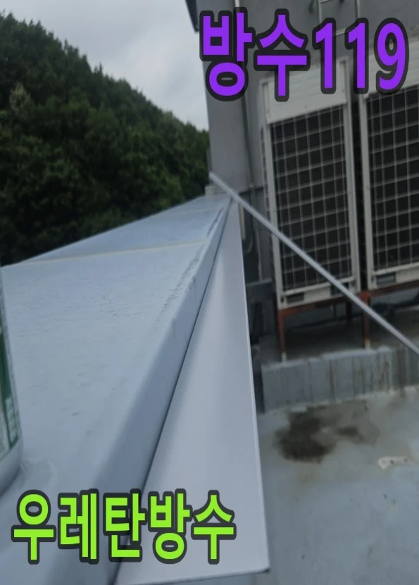 20260808134134_93531985.webp