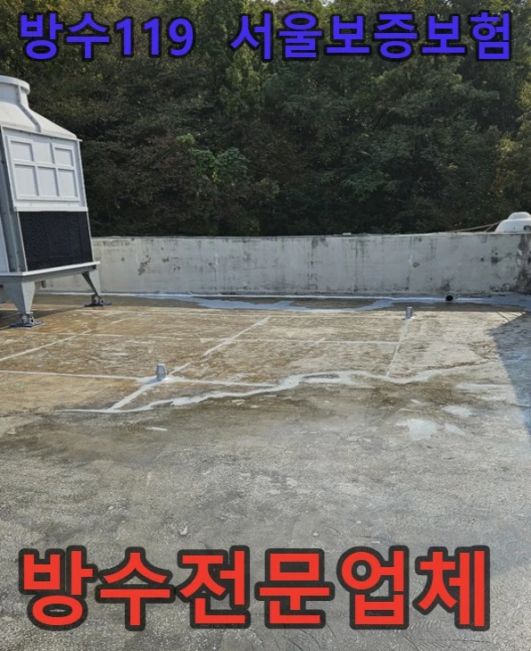 20260810164627_fb90922d.webp