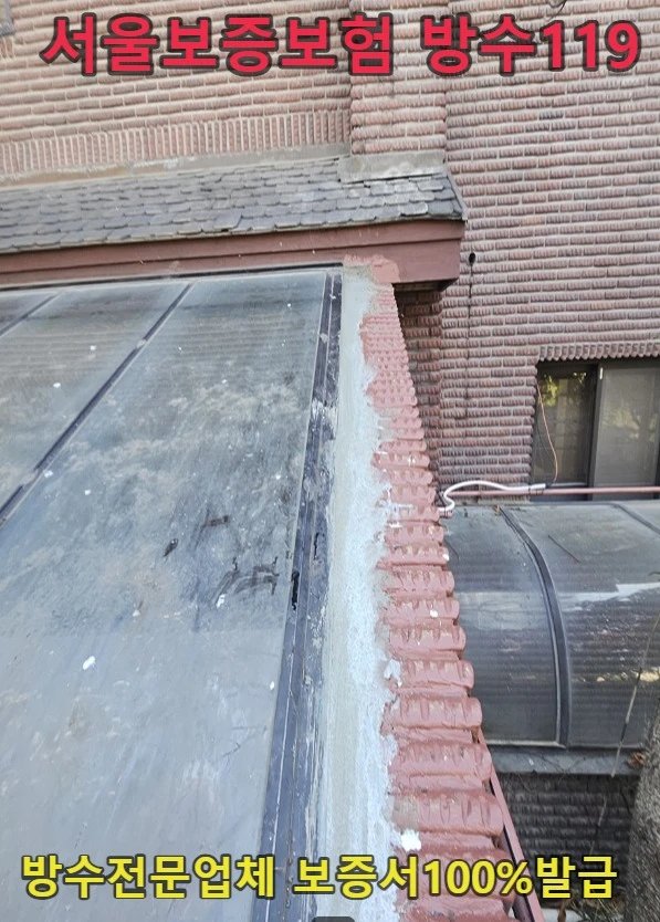 20260810164836_c6d05bec.webp