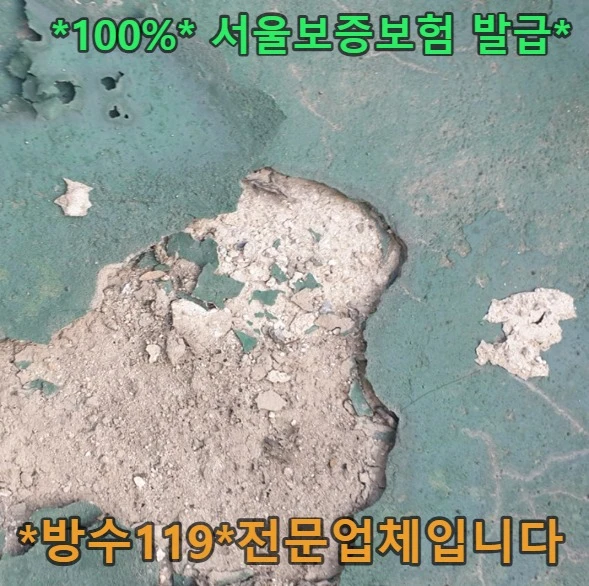 20260810165234_17a39145.webp