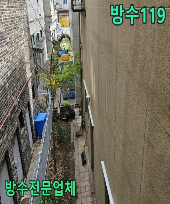 20260811091353_50d2e770.webp