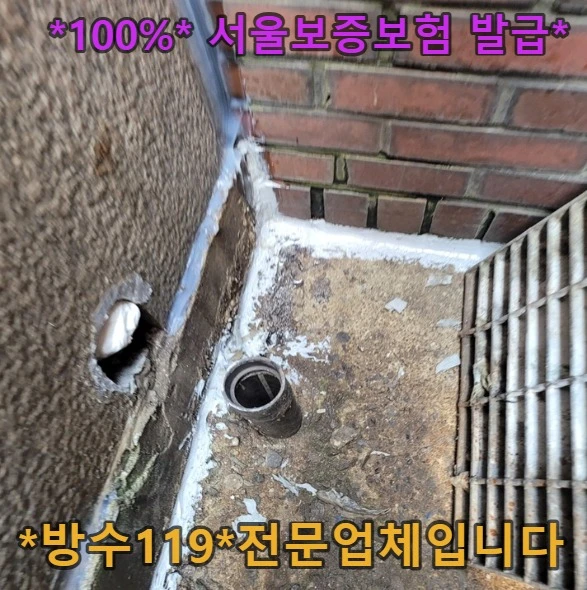 20260811094259_bf228ee2.webp