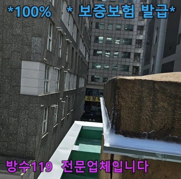 20260811094720_3ea6dcdd.webp