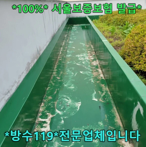 20260813094949_342f5437.webp