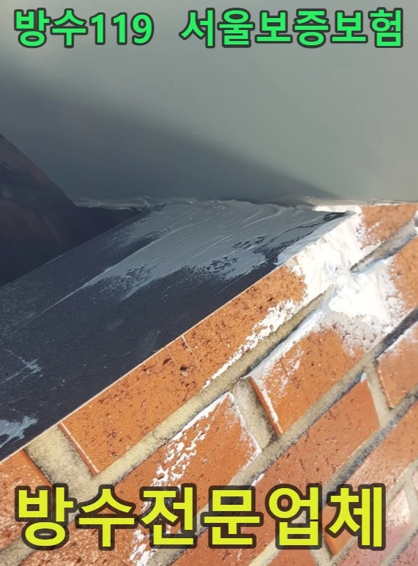 20260813095052_98823f10.webp