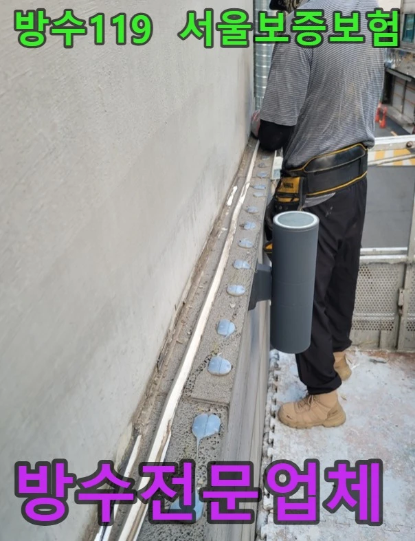 20260815184547_ee52e4d8.webp