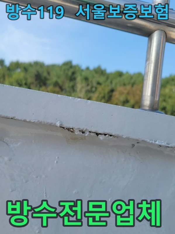 20260816125358_53066871.webp