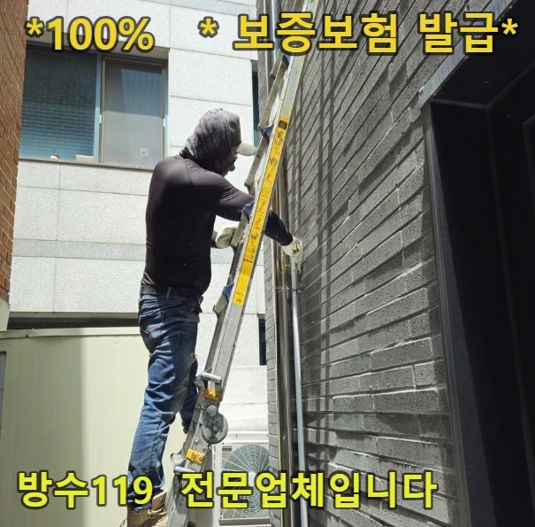 20260818182500_e50db53c.webp