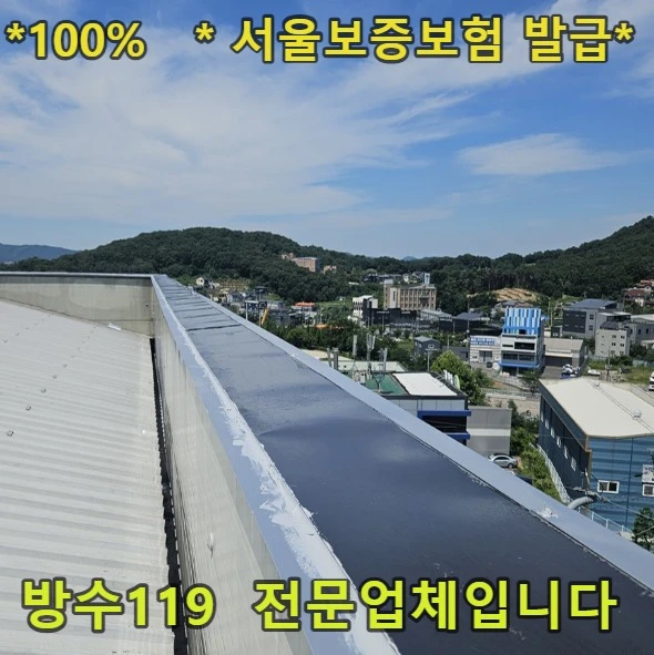 20260818193556_431868a6.webp