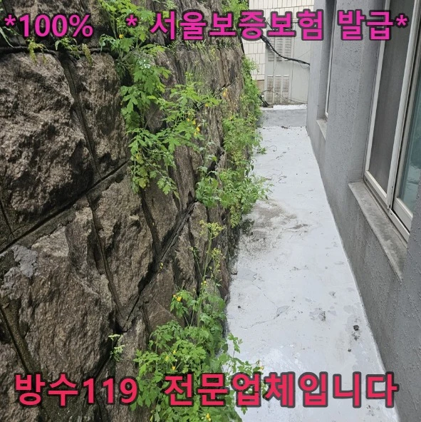 20260819200535_b8dd6099.webp