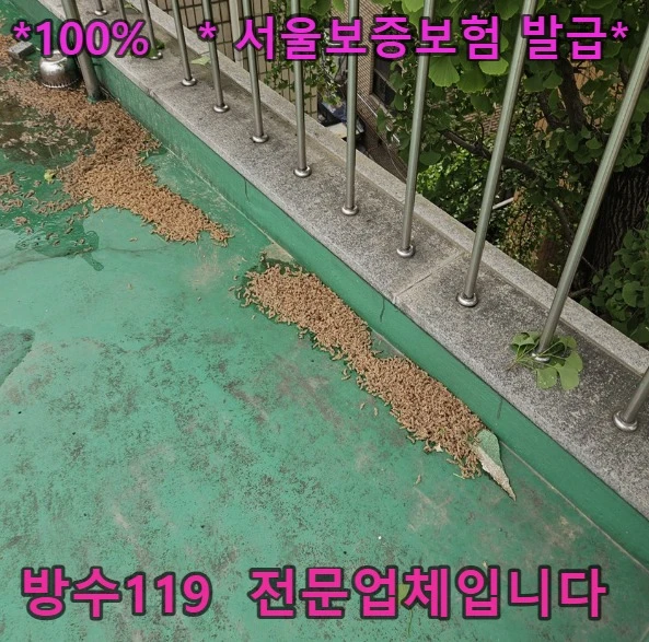 20260821195235_8e81c494.webp