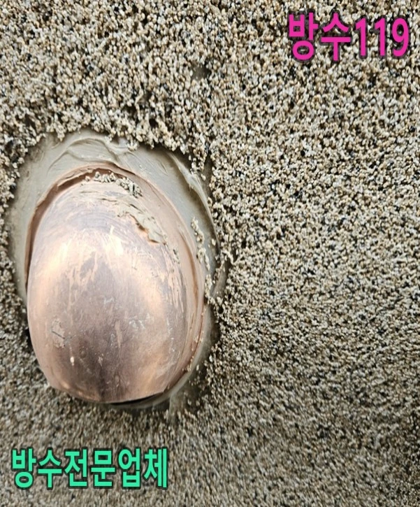 20260821200231_7c8c32e3.webp