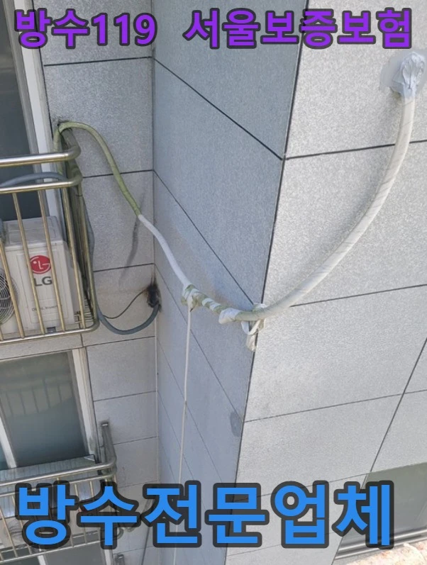 20260825161147_c39d0199.webp