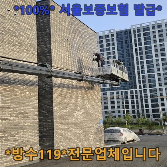 20260827162203_29950524.webp