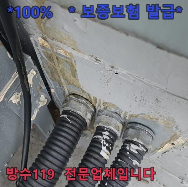 20260827162218_533502a9.webp
