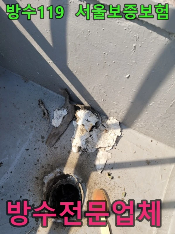 20260827162358_14606205.webp