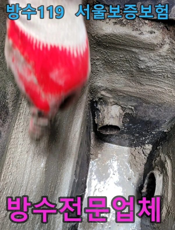 20260901094043_21fa40c5.webp