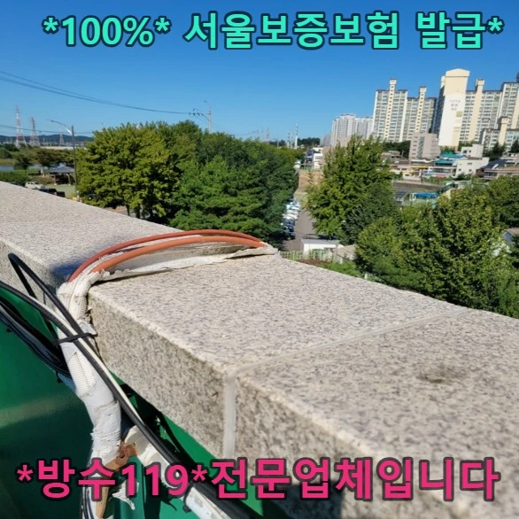 20260901101957_77df2c98.webp