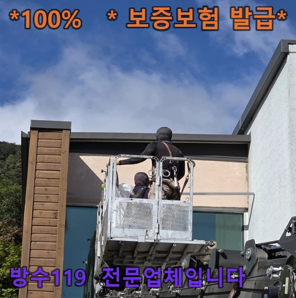 20260901102518_39ef4612.webp