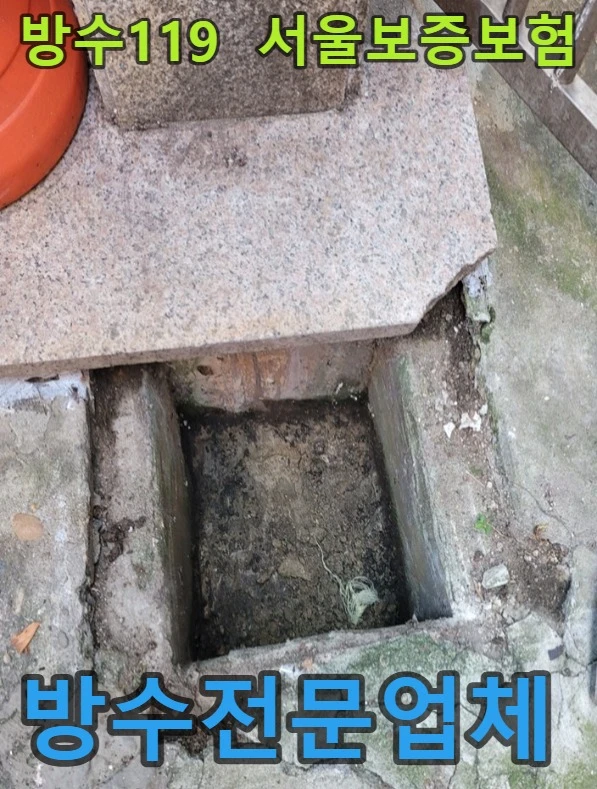 20260901102519_daf0a7b2.webp