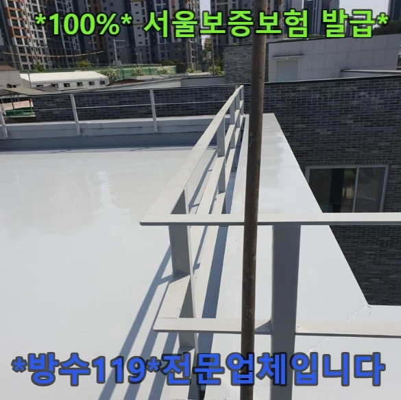 20260901110517_17fa7ed4.webp