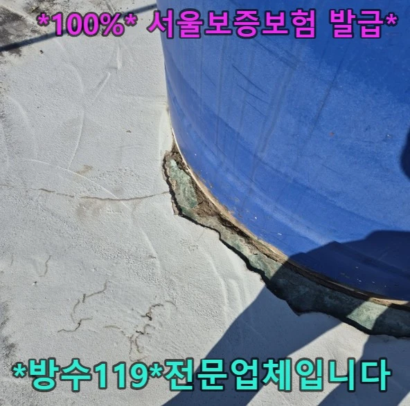 20260901114514_172c0cb7.webp