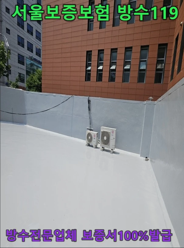 20260903194204_c03443e0.webp
