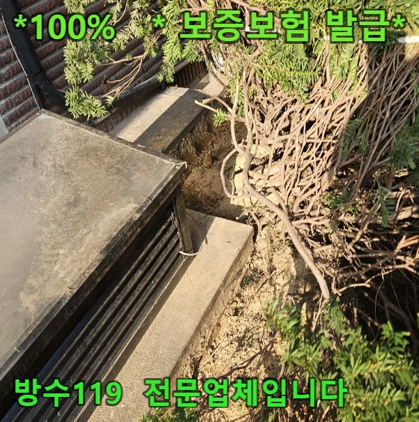 20260905181735_3fe9fbb6.webp