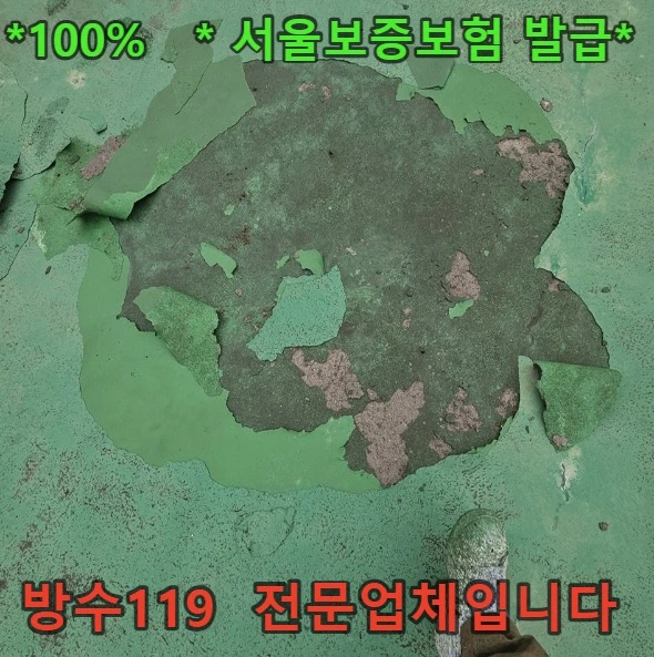 20260905181948_18a029bc.webp