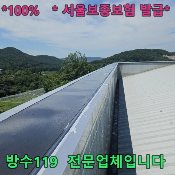 20260905184339_8a669fc6.webp