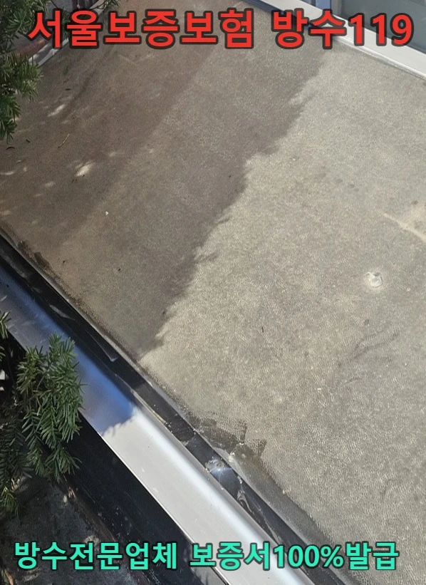 20260907111615_b8d4aa8b.webp