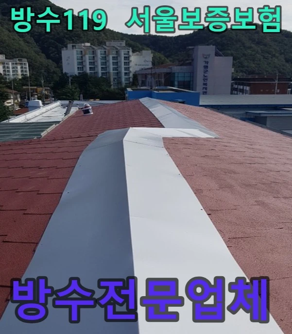20260908140049_61f5e6c9.webp