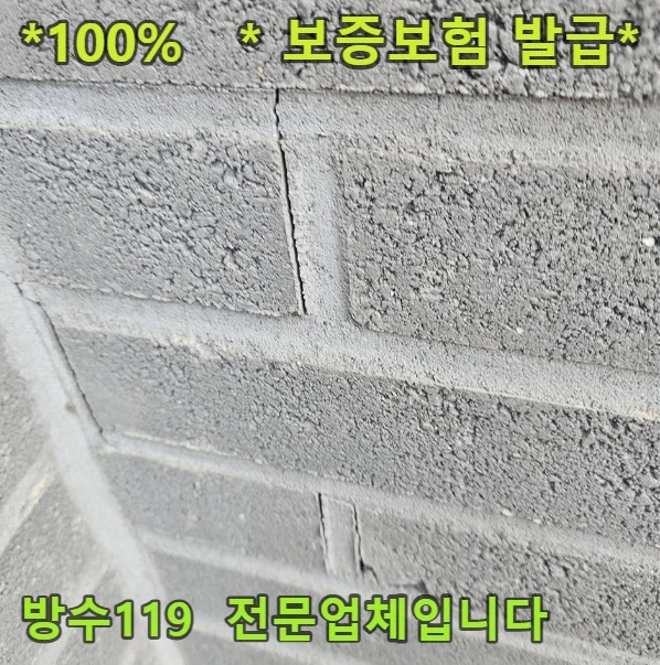 20260908140110_e2a838d9.webp