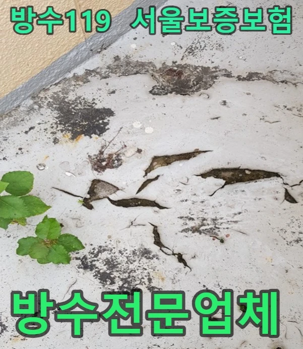 20260908140133_ff53e5f7.webp