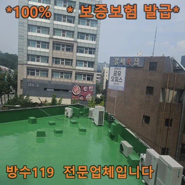 20260909175618_302e3c94.webp