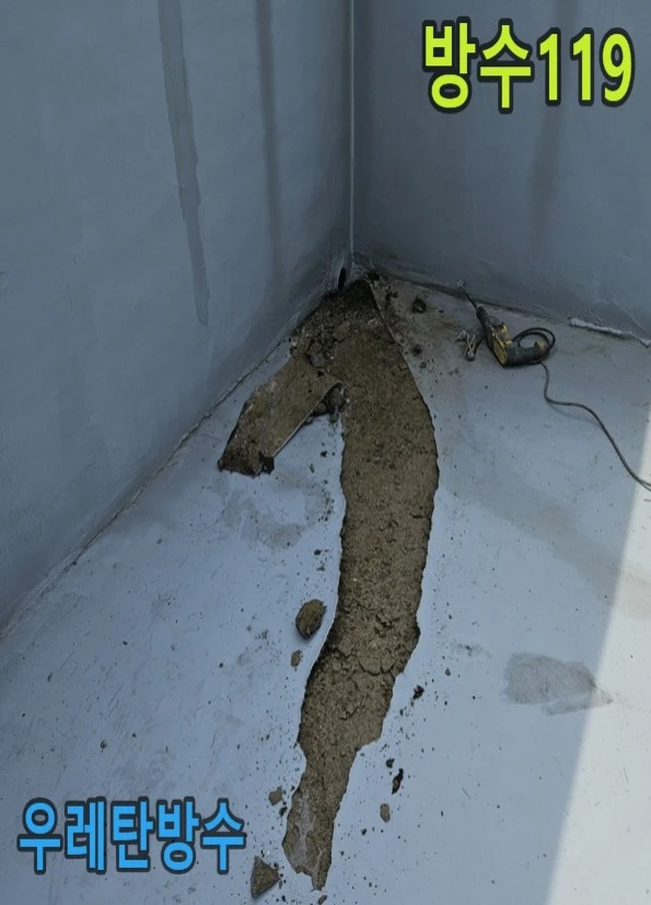 20260909175654_558a6341.webp