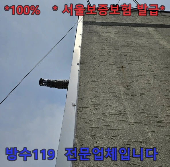 20260909175654_cec9eb6b.webp