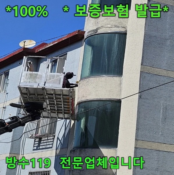 20260909175655_fd9a4300.webp