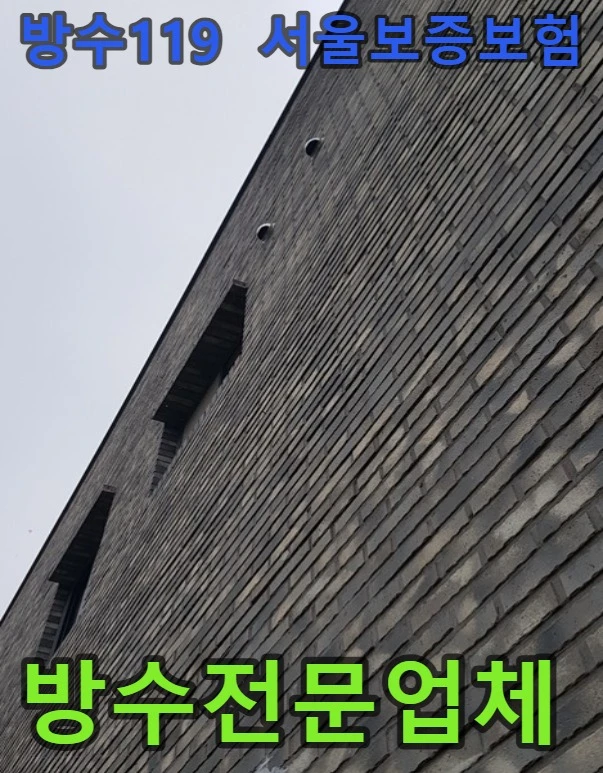 20260909175756_dc3c4450.webp